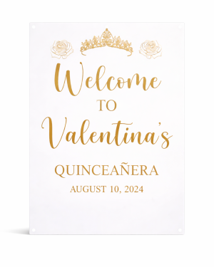 Custom Acrylic quinceañeras Welcome Sign, Modern Minimalist Event Decor