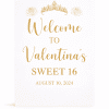 Custom Acrylic quinceañeras Welcome Sign, Modern Minimalist Event Decor