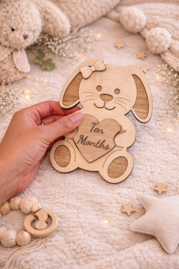 Baby Monthly Milestone Sign Set | Wooden Baby Photo Props | 1-12 Months