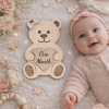 Baby Monthly Milestone Sign Set | Wooden Baby Photo Props | 1-12 Months