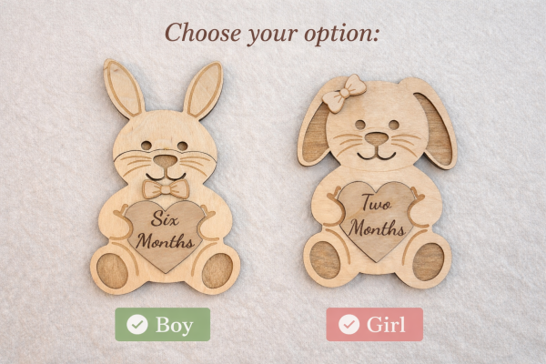 Baby Monthly Milestone Sign Set | Wooden Baby Photo Props | 1-12 Months